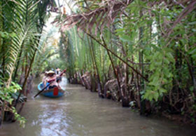 Rural Mekong Delta